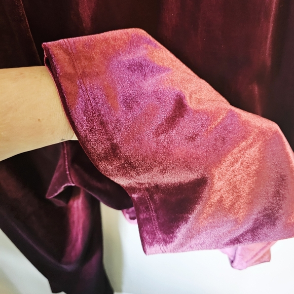 Torrid 4 Burgundy Wine Pull On Velvet Joggers Nwt - Picture 7 of 10